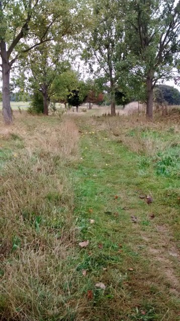 Roundshaw Downs Parkrun