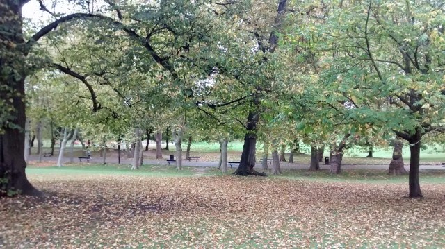 Crystal Palace parkrun Crystal Palace parkrun