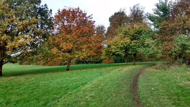 Lloyd Park Parkrun- trail running