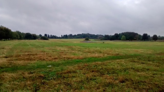 Roundshaw Downs Parkrun