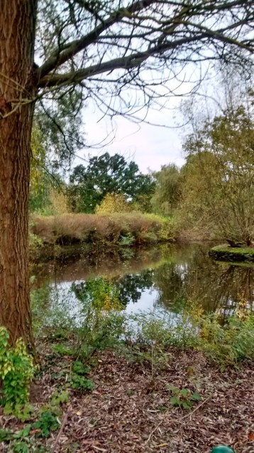 Crystal Palace parkrun Crystal Palace parkrun