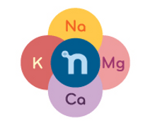 Yoga and Nuun Hydration- the importance of electrolyte replenishment after workouts