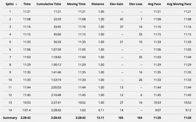 Brighton Half Marathon Race Recap