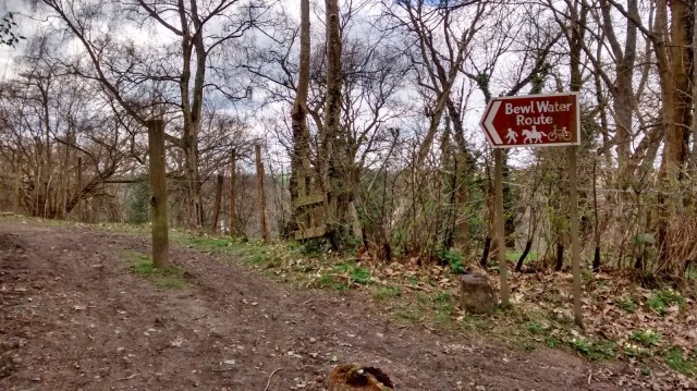 Mountain Biking at Bewl Water Mountain Biking at Bewl Water