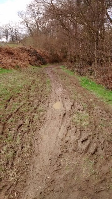 Mountain Biking at Bewl Water Mountain Biking at Bewl Water