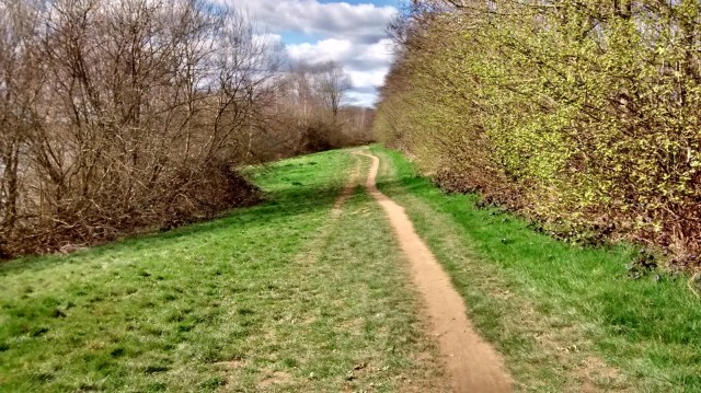 Mountain Biking at Bewl Water Mountain Biking at Bewl Water