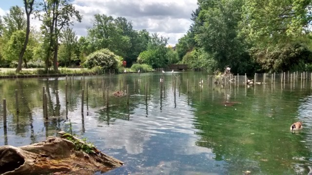 Who Loves Nature Walks the most in England? (sponsored)
