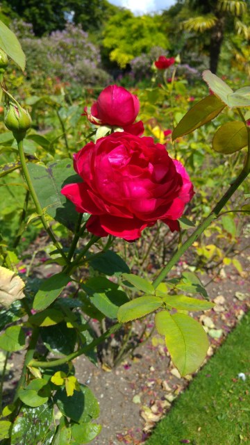 London LOOP: Coulsdon to Banstead London LOOP: Coulsdon to Banstead