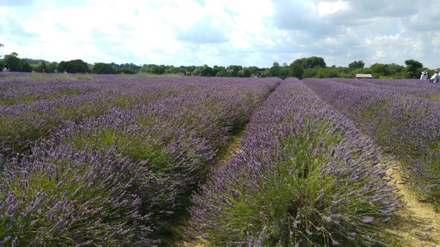 London LOOP: Coulsdon to Banstead London LOOP: Coulsdon to Banstead