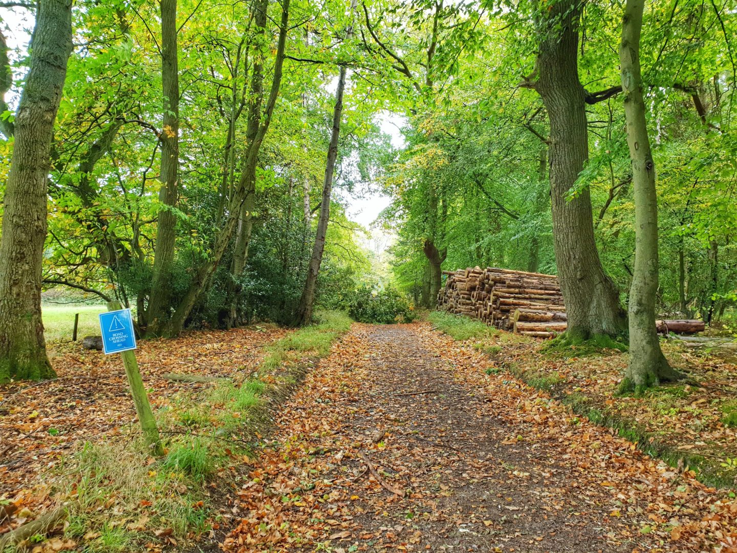 Maverick Oxfordshire Trail Race