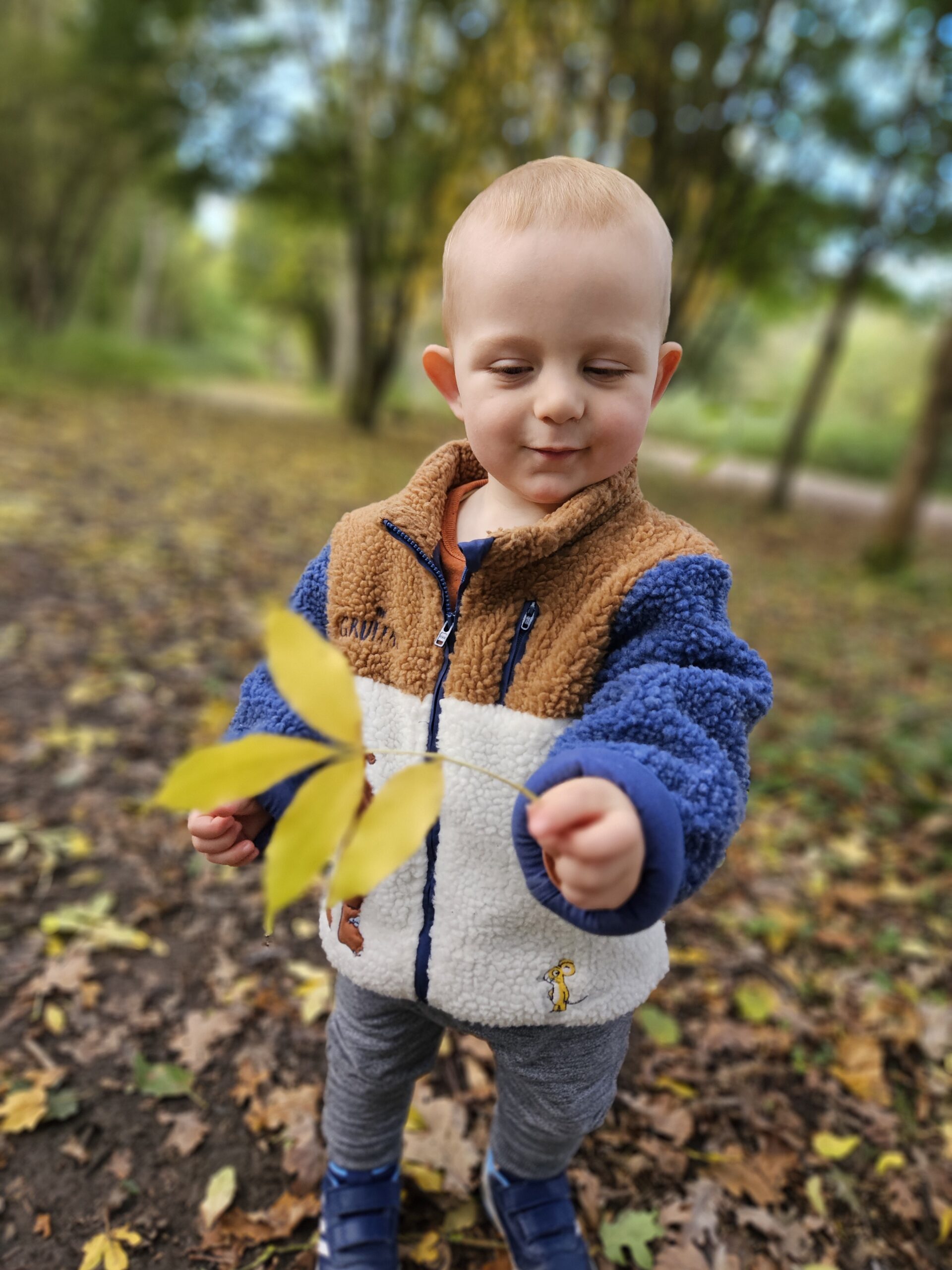 Little boy in a fluffy Gruffalo coat holding a yellow autumn leaf