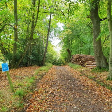 Maverick Oxfordshire Trail Race