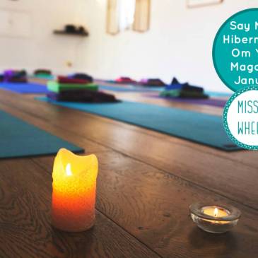 Say No to Hibernation- photo credit Rachel Hudson