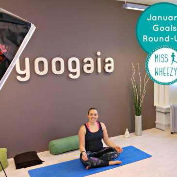 January Goals Round Up