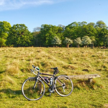 A Summer of Challenges