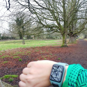 Reading Half Marathon training