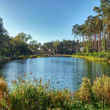 Weekend at Woburn CenterParcs